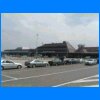 31013.jpg