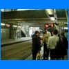 41010.jpg
